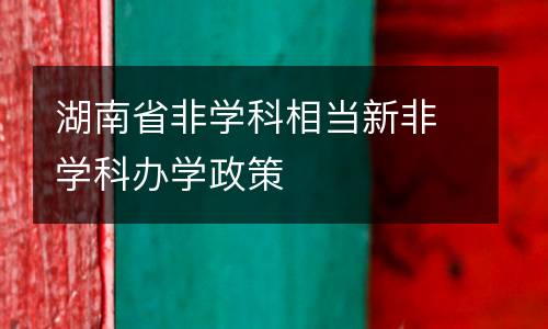 湖南省非学科相当新非学科办学政策