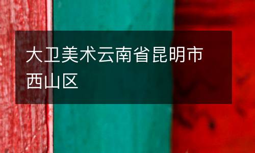 大卫美术云南省昆明市西山区