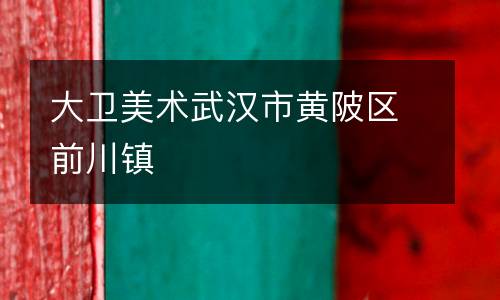 大卫美术武汉市黄陂区前川镇