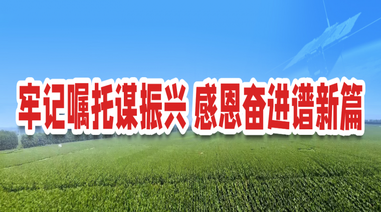 吉林省文化艺术类校外培训机构审批流程