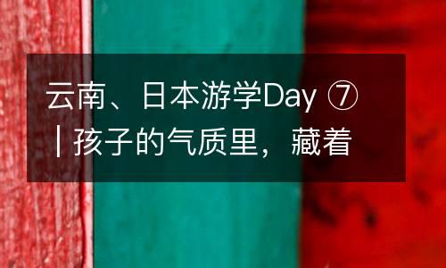 云南、日本游学Day ⑦ | 孩子的气质里，藏着他绘过的画、走过的路与陪伴的人。