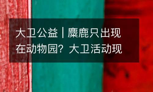 大卫公益 | 麋鹿只出现在动物园？大卫活动现场就有4只，原来你错过了这么多！